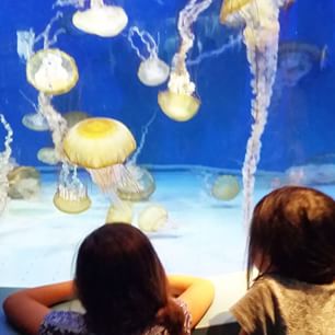 Gotta love nature! #aquariumofthepacific #longbeach #LBC #latinabloggers #familytravel #travel