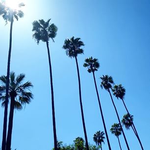 Happy Sunday! #LosAngeles #sundaysinmycity #sundayfunday