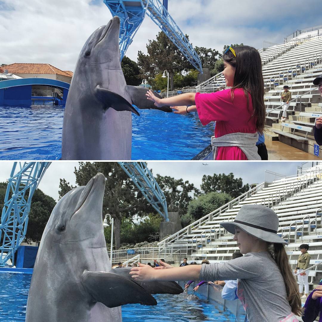 May I have this dance? Thanks for the memories SeaWorldSanDiegohellip