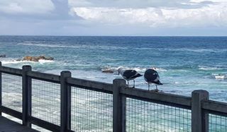 Mine mine mine findingdoryevent myview travel travelgram traveling travelingram wanderlusthellip