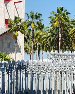 Only in LosAngeles lacma lacmalights travel travelgram traveling travelingram wanderlusthellip