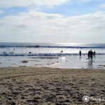 Life’s A Beach With LuvSDSurf