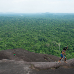 Life Lessons Learned From The Amazon