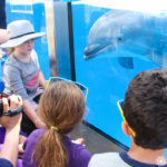 How I Gave Sea World A Try- And Loved It! #SeHablaBallena