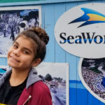 Sea World Summer- The SoCal Daycation Destination