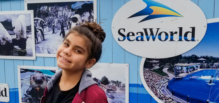 Sea World Summer- The SoCal Daycation Destination